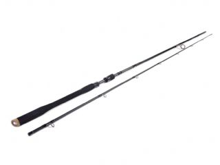 Westin W3 XtremeTeez 2nd Spinning Rod 30-100g - 